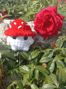 Mushroom boy