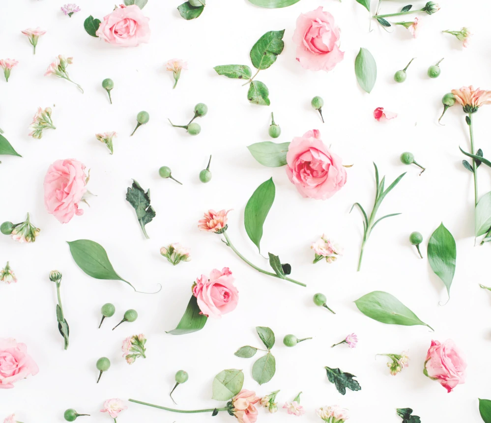 Termo kelímek Růžičky