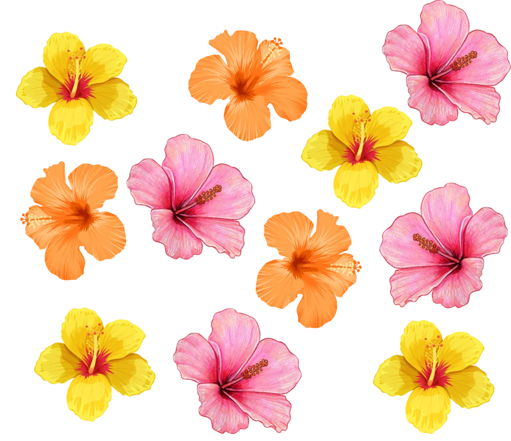 Termo kelímek květ ibišku